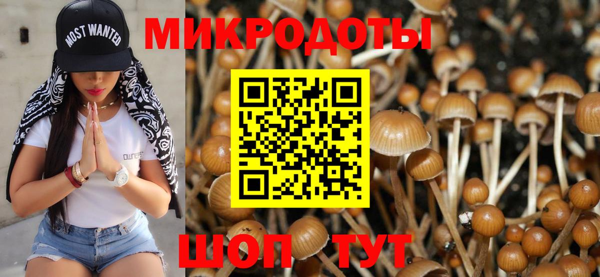 Каменск-Уральский  Псилоцибиновые грибы Psilocybine cubensis  Вход с VPN  Галлюциногенные грибы Psilocybine cubensis 
