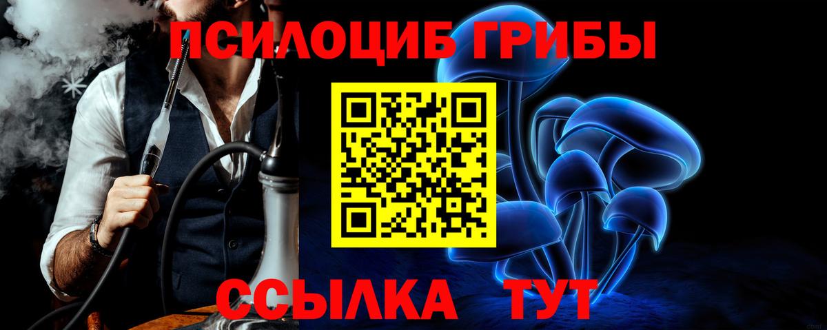 Псилоцибиновые грибы прущие грибы Каменск-Уральский